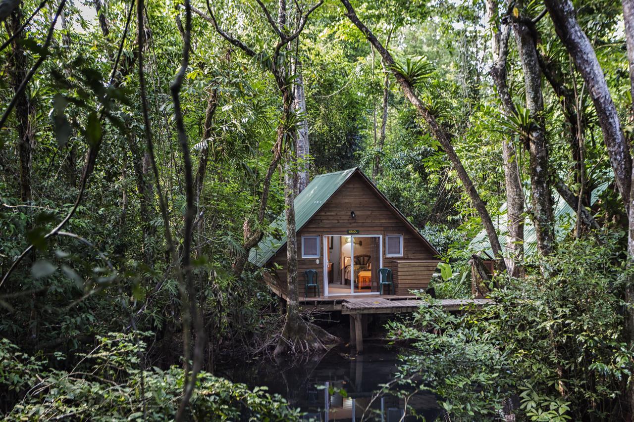 Hotel Hacienda Tijax Jungle Logde リオ・ドゥルセ エクステリア 写真