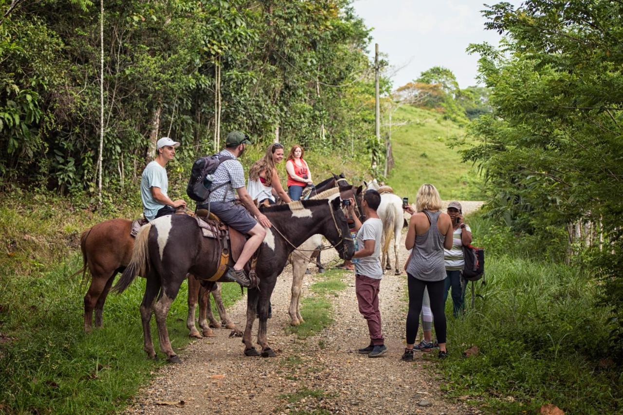 Hotel Hacienda Tijax Jungle Logde リオ・ドゥルセ エクステリア 写真
